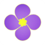 紫金草视频app官方版