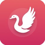 白天鹅追剧最新版